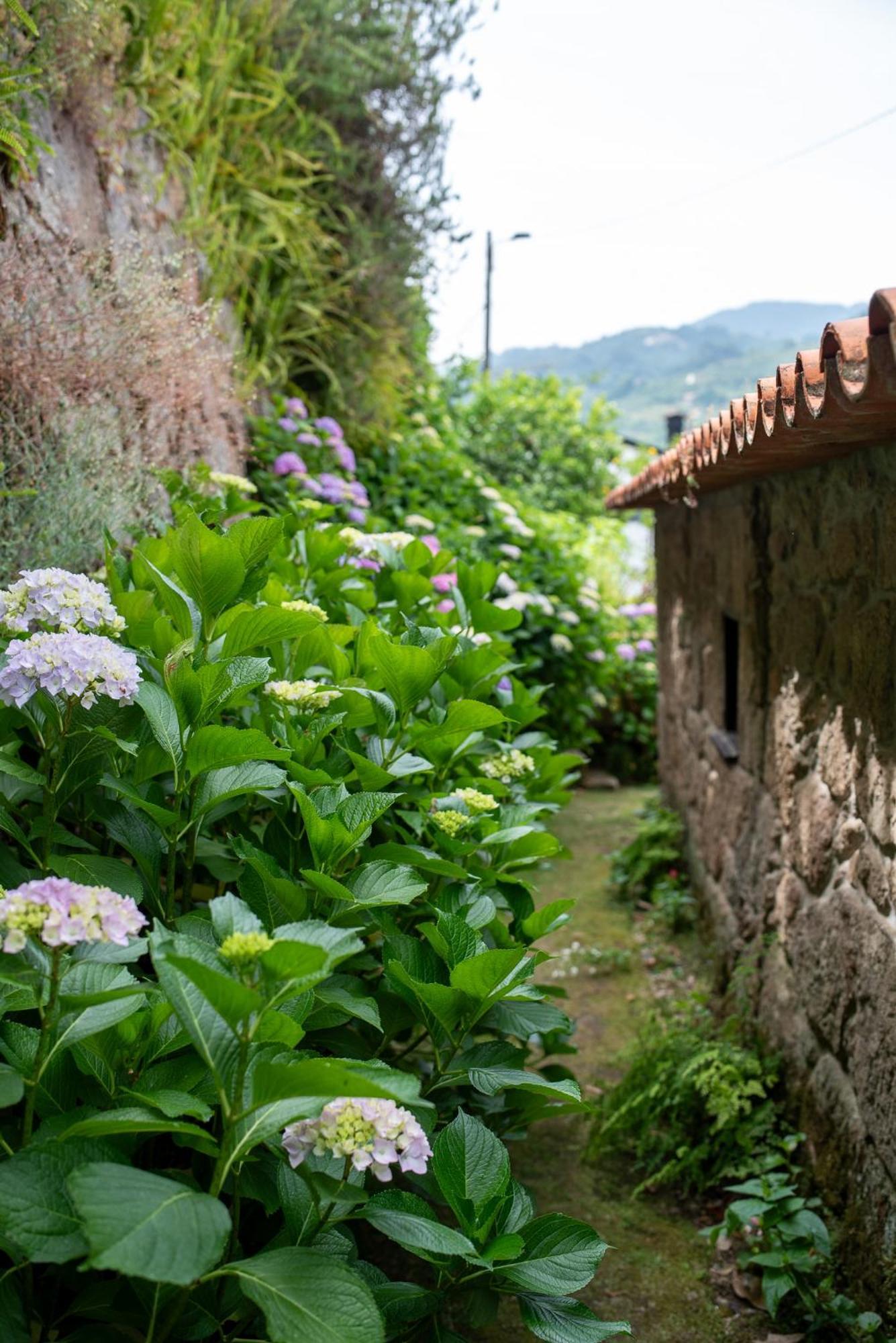 Villa Casa Da Torre, Porto Manso Ribadouro Exterior foto